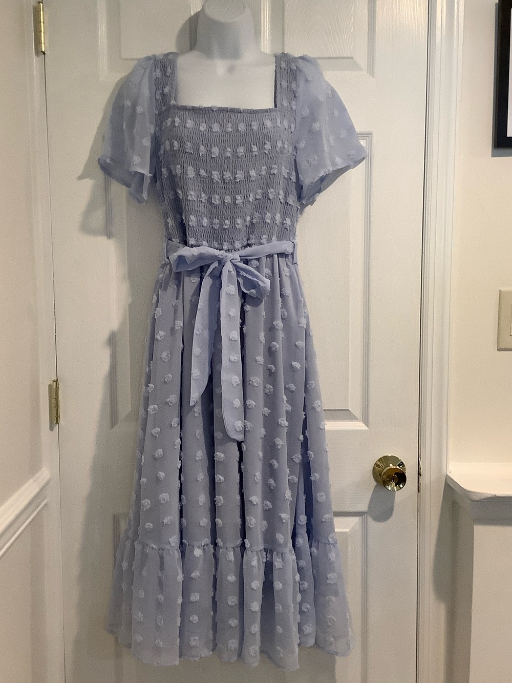 Light Blue Smocked Raised 3D Polkadots Sheer Overlay Wedding Cottagecore Dress L
